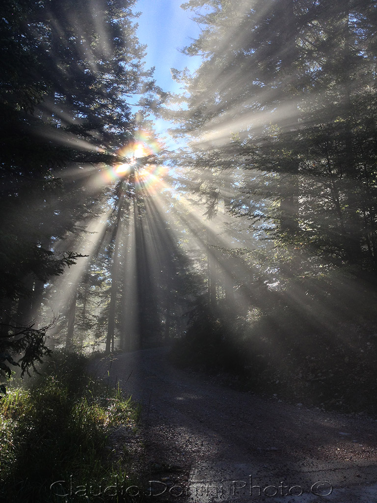 Towards the light .....