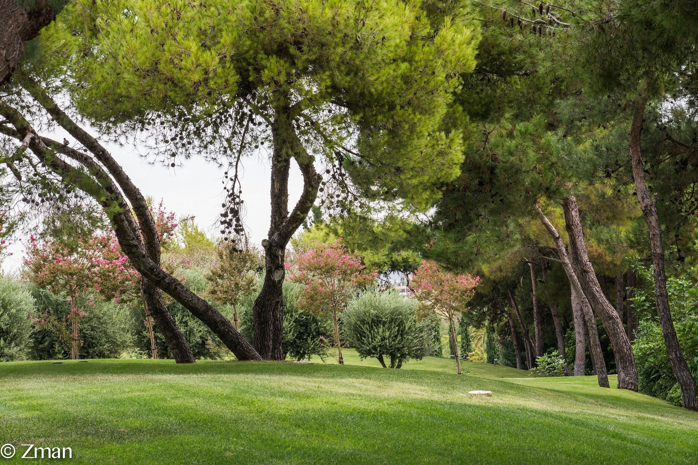 L'Albero di fronte alla Grand Hall