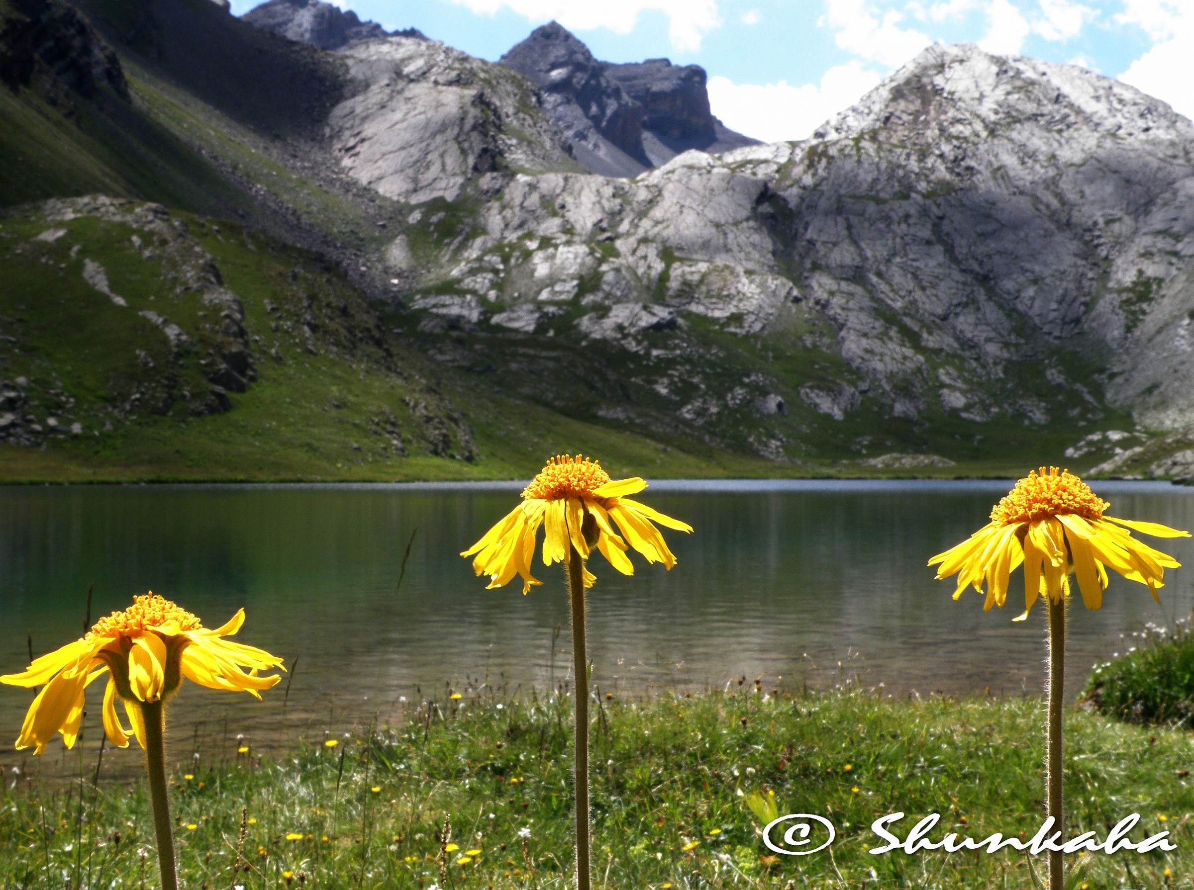 Lac du Lauzanier (2284m. Above sea level) - Vallée de...