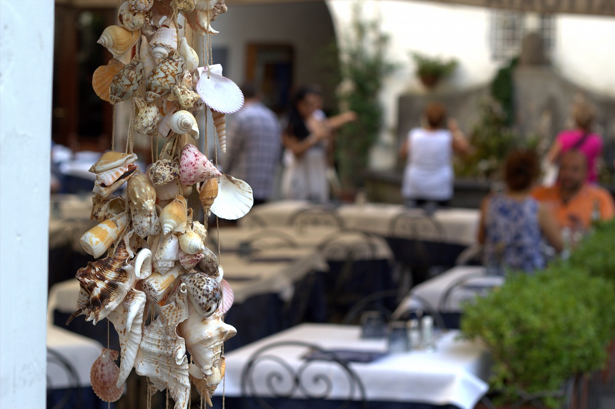 Shells of Amalfi
