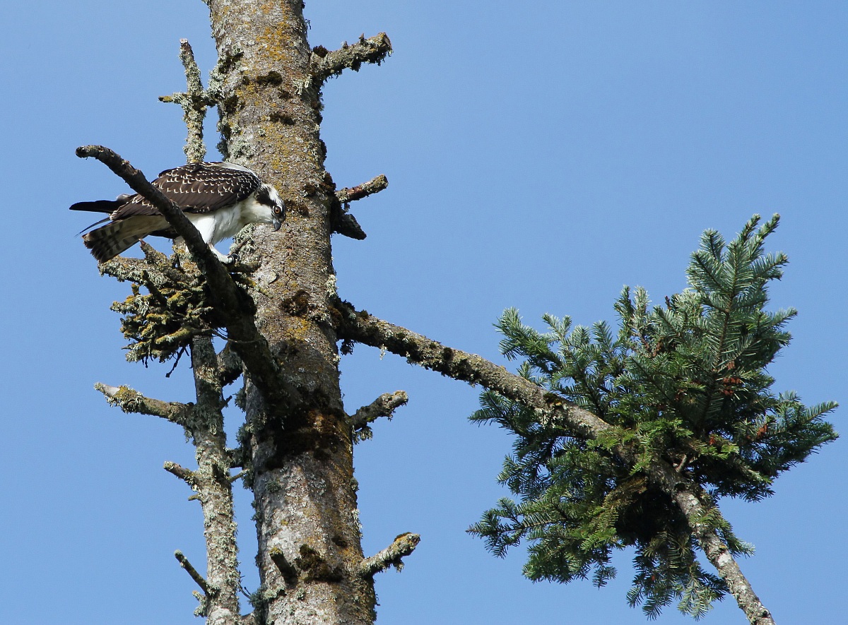 Uno sguardo verso il basso