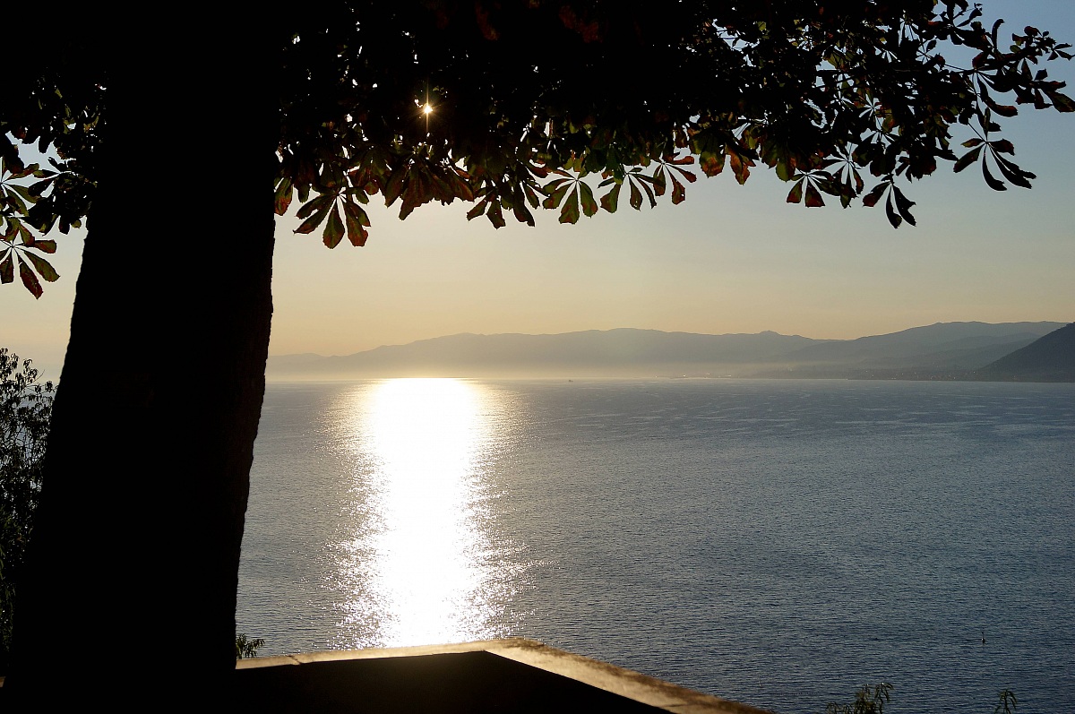Controluce-San Rocco,Camogli