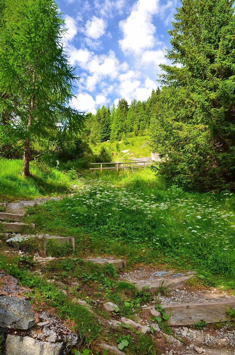 Sentiero con gradini