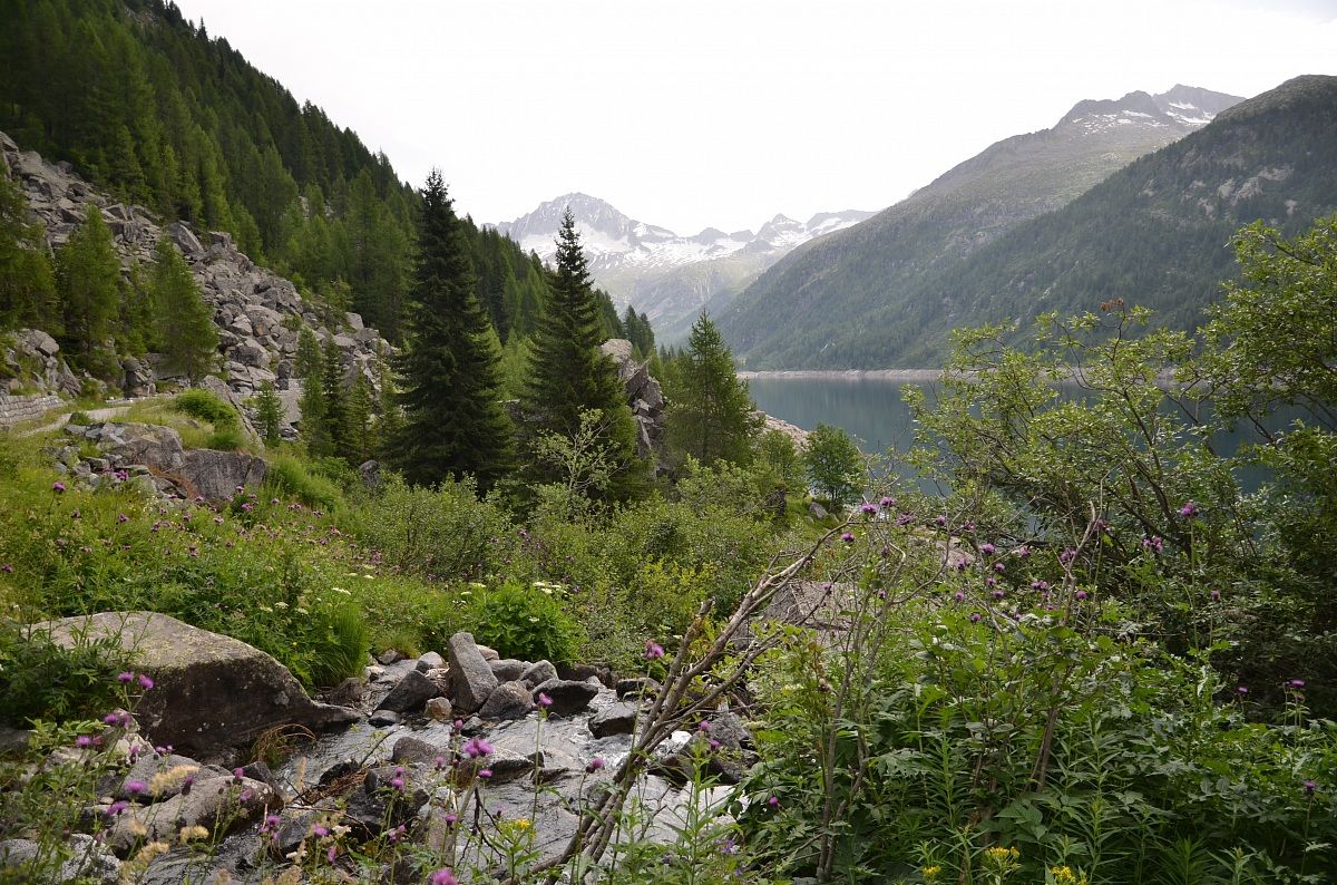 Monte Re Castello e Lago di Malga Bissina