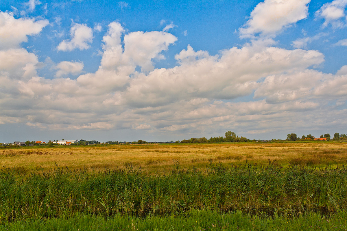 La campagna di Zaanse Schans