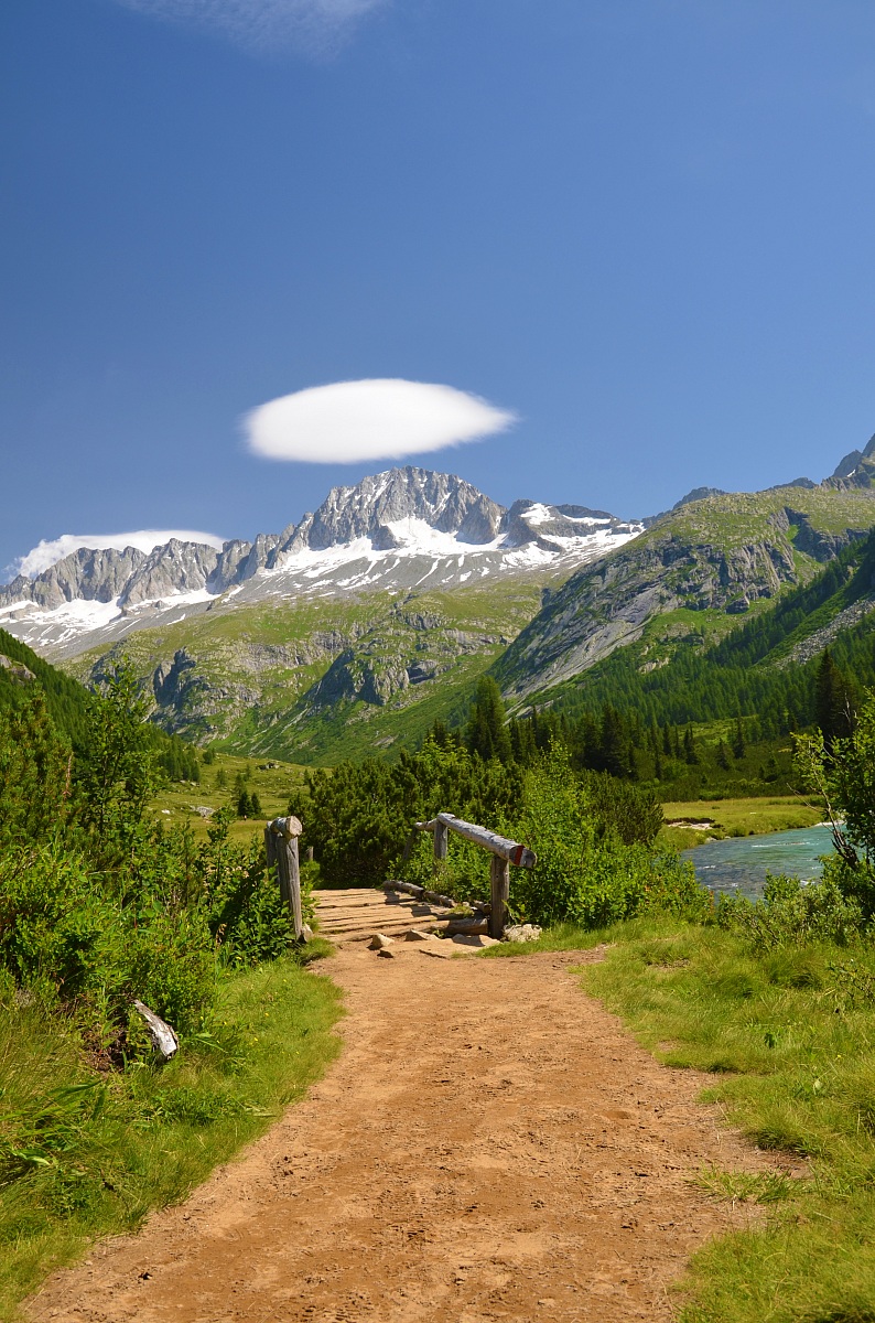 Sentiero con ponte di legno