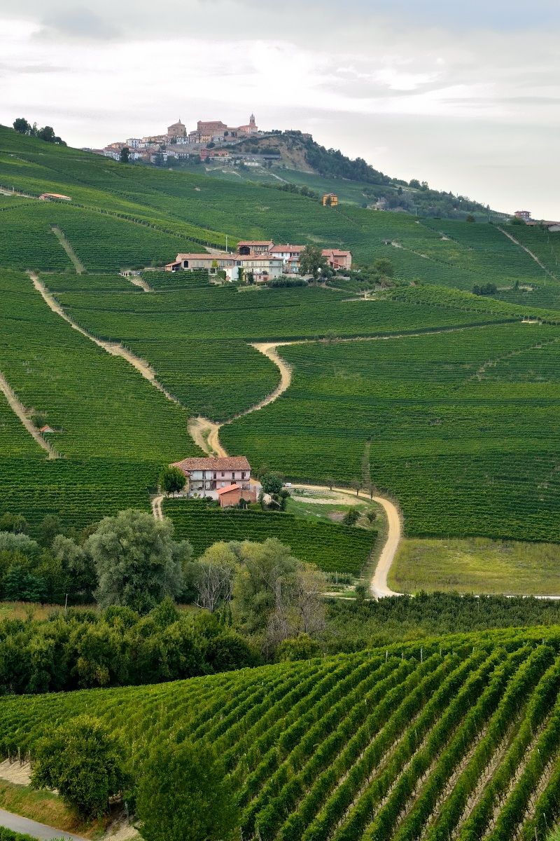 Terre da Vino