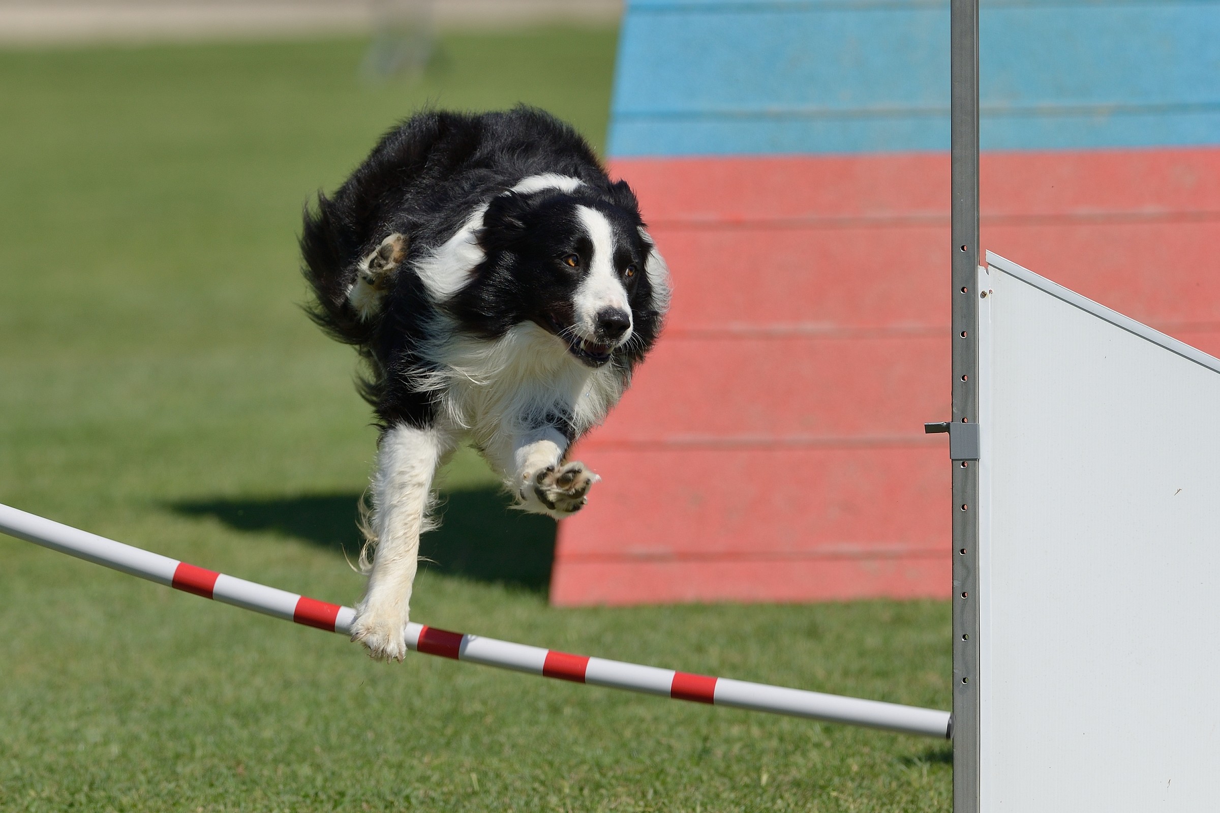 Andrà meglio la prossima...
