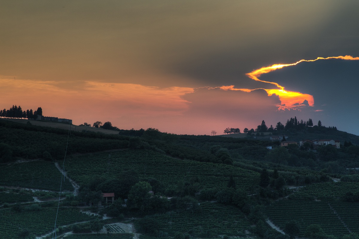 Langhe Mango - Sulle strade di Fegnolio #3