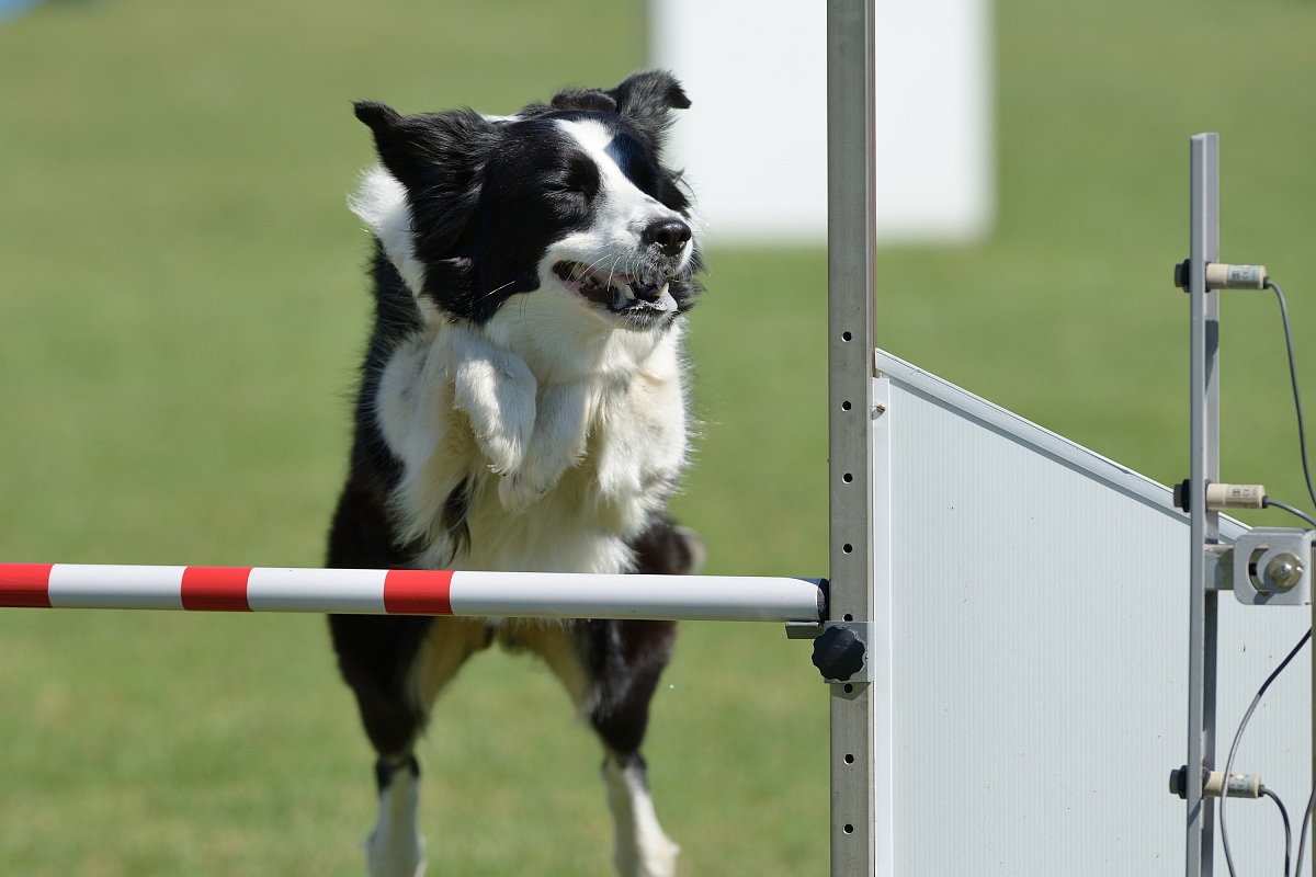 Lo salto ad occhi chiusi!