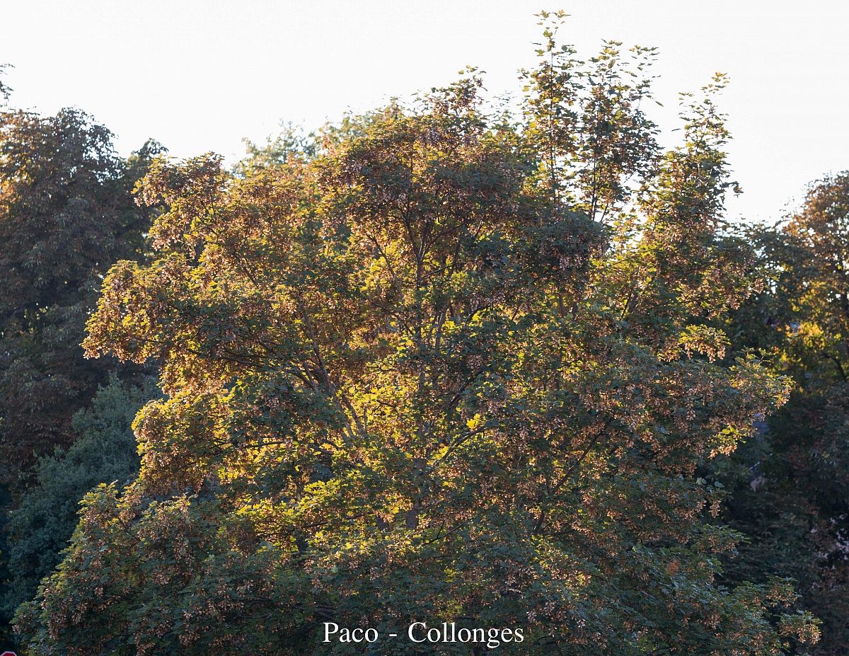 Luce nella struttura