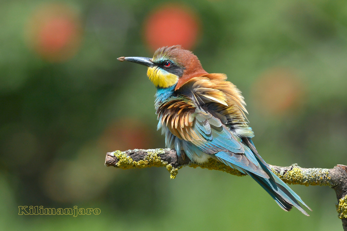 Chiudete la finestra c'è corrente!!!!!!!