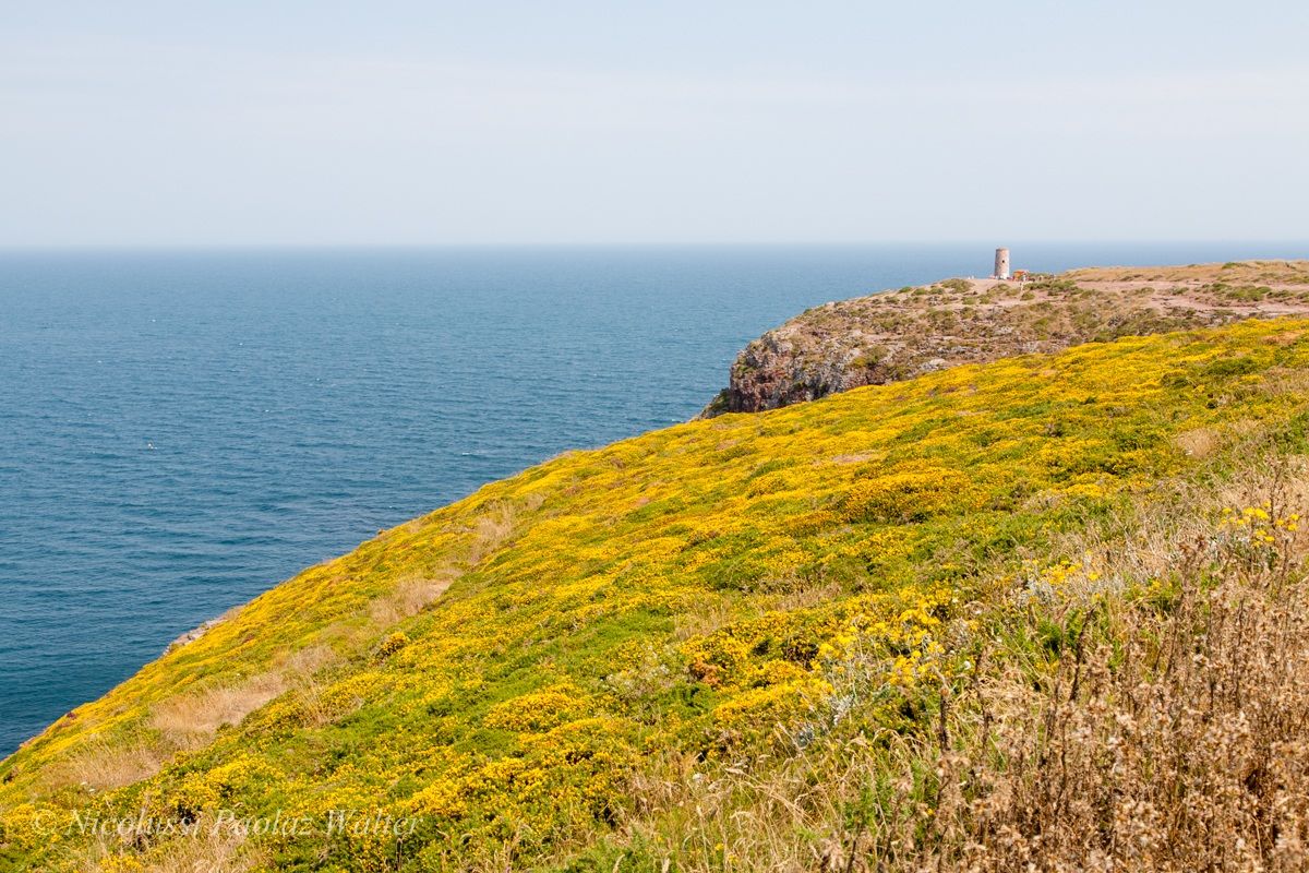 Cap Frehel