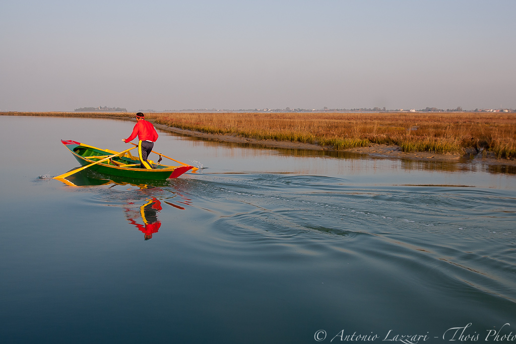 Venetian rowing in the northern lagoon,