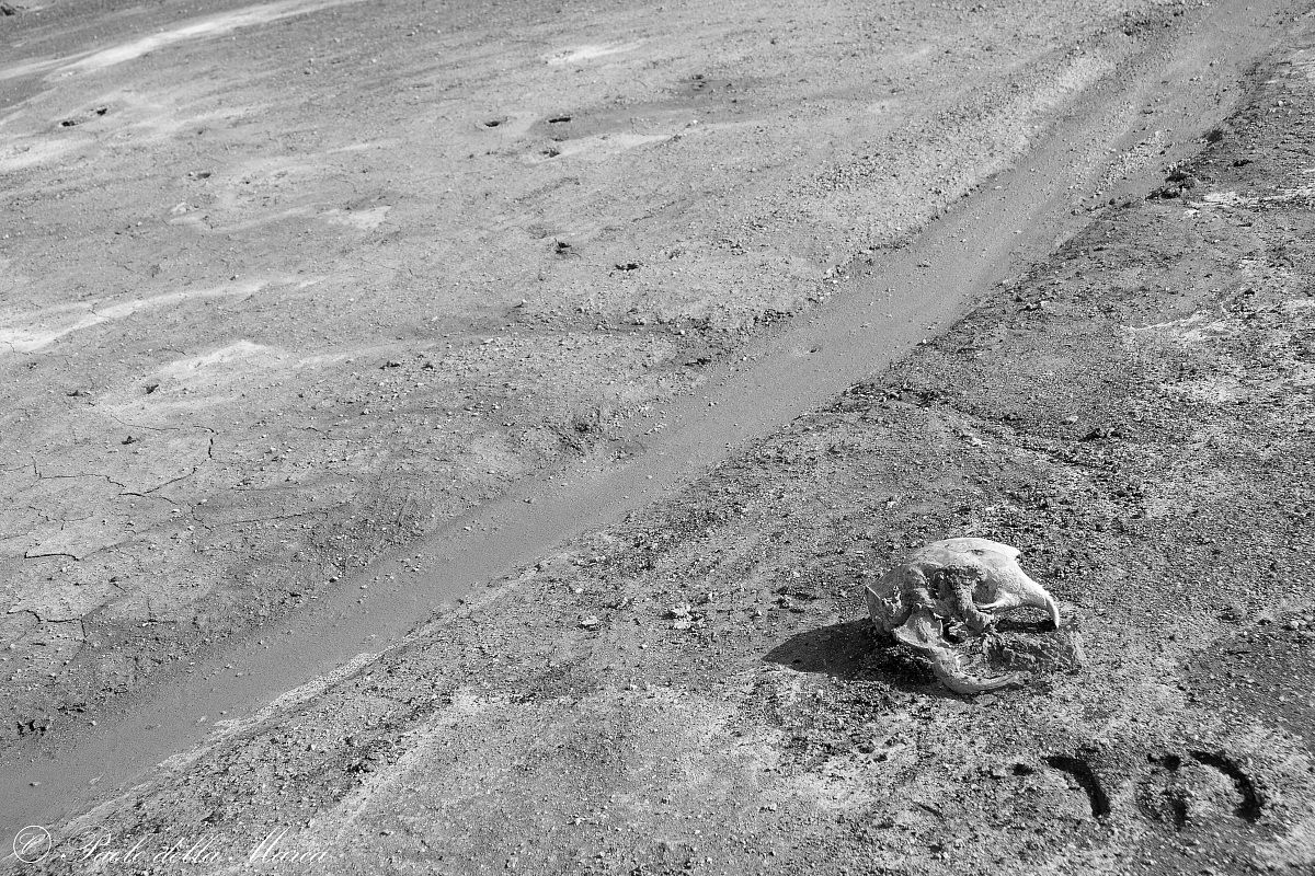 Momento triste alla Caldera di Manziana