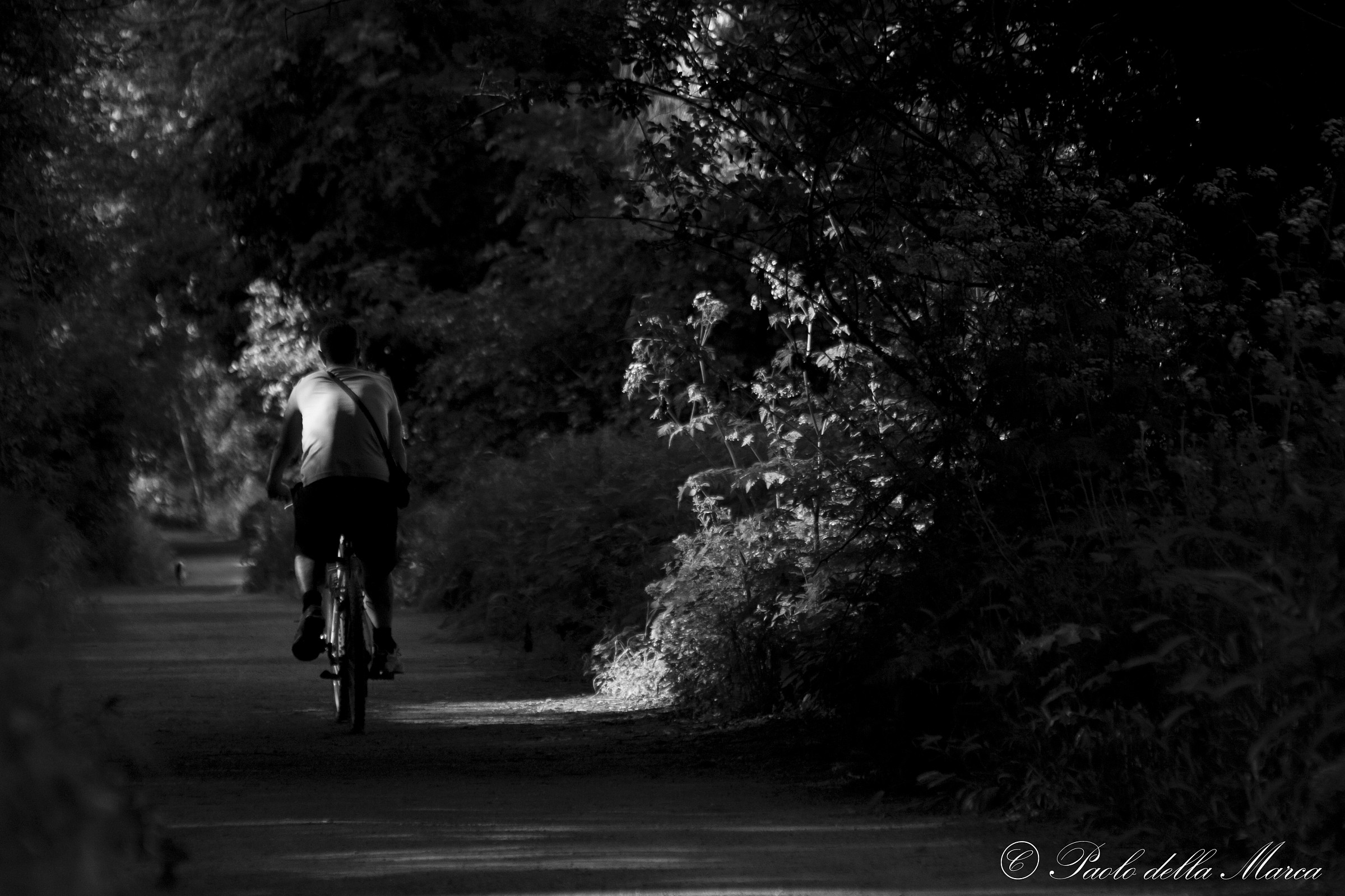 Passeggiando in bicicletta