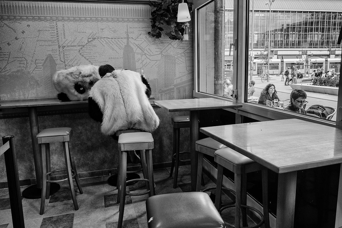 do not feed the pandas