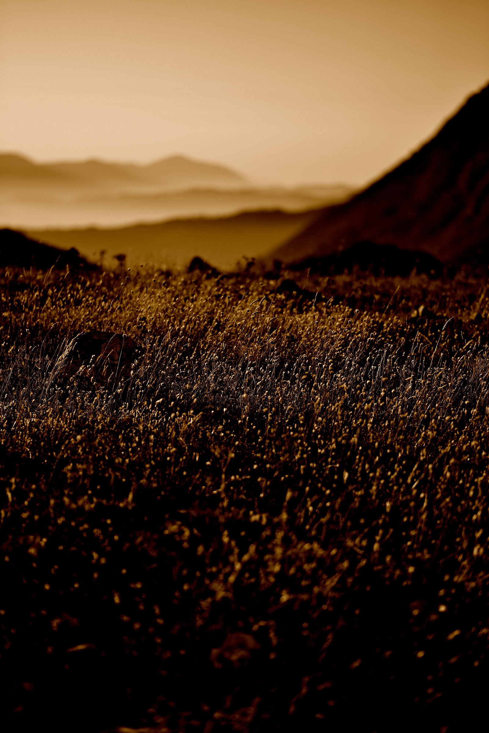 Breath of light at dawn