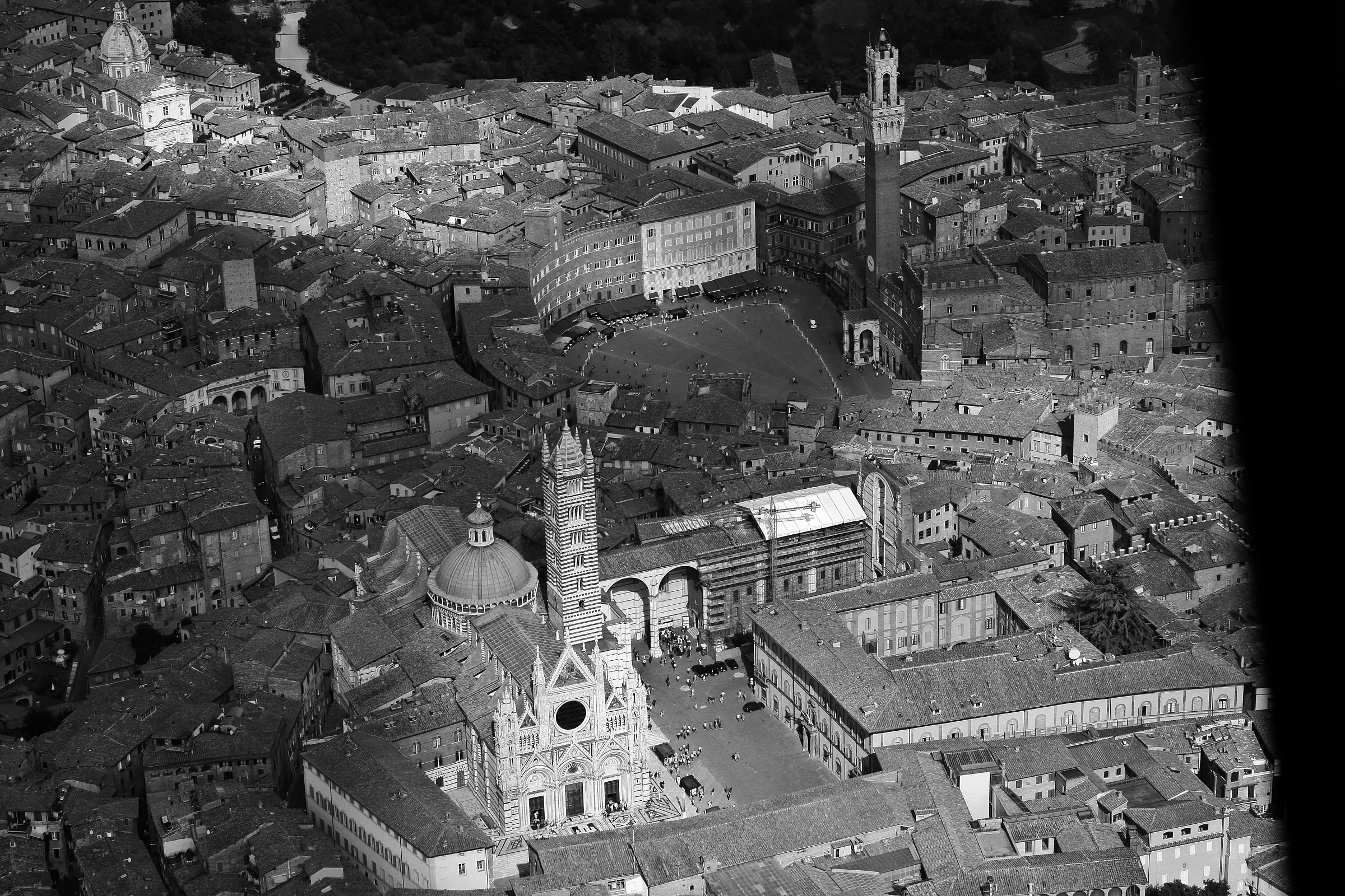 Siena from 1