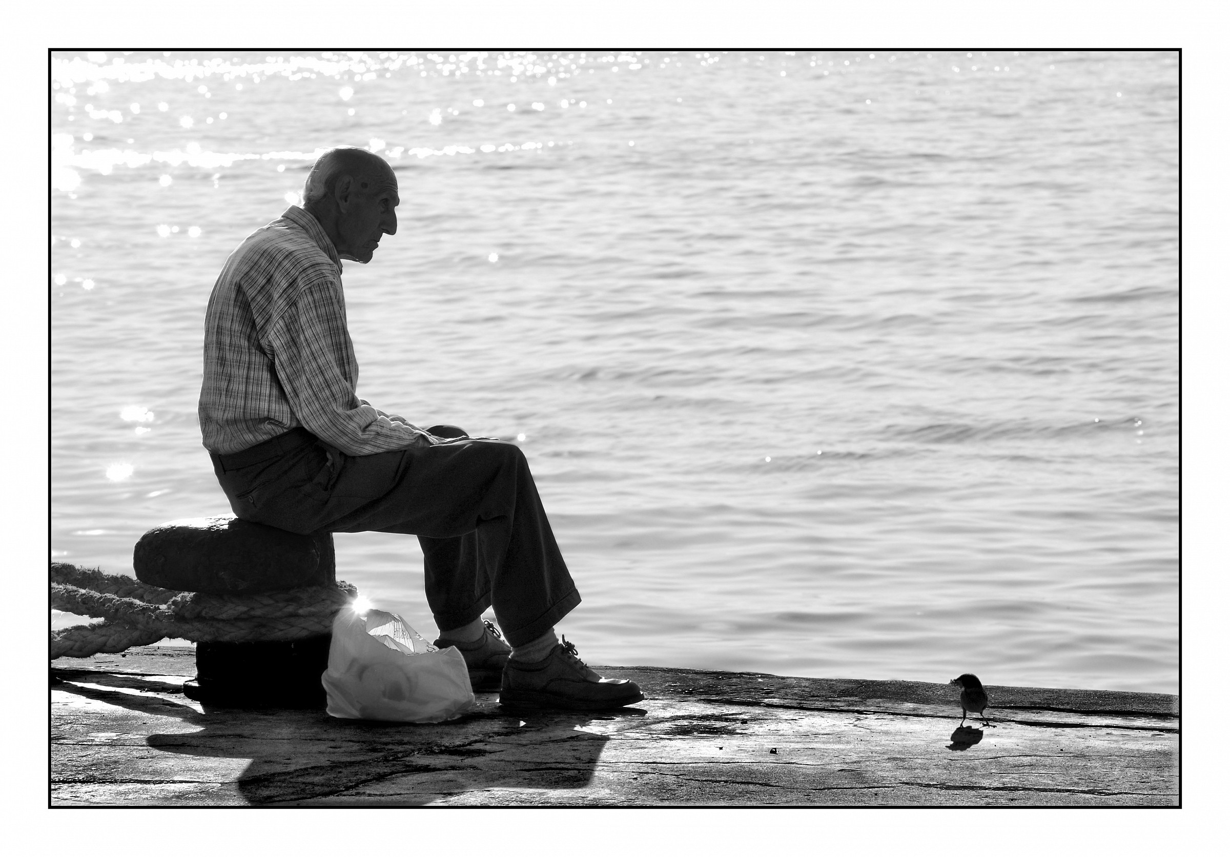 The man and the Sparrow!