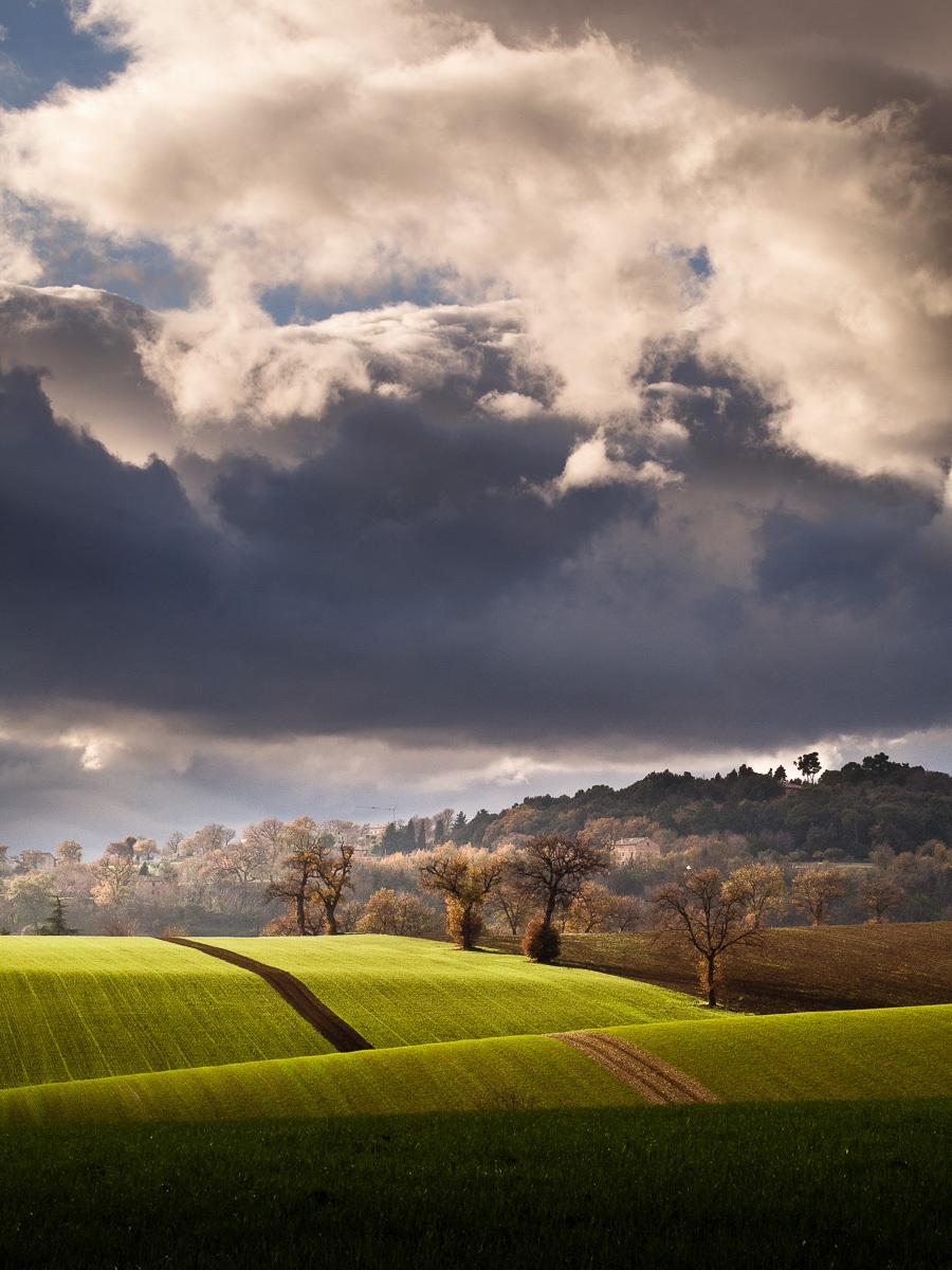 Macerata countryside