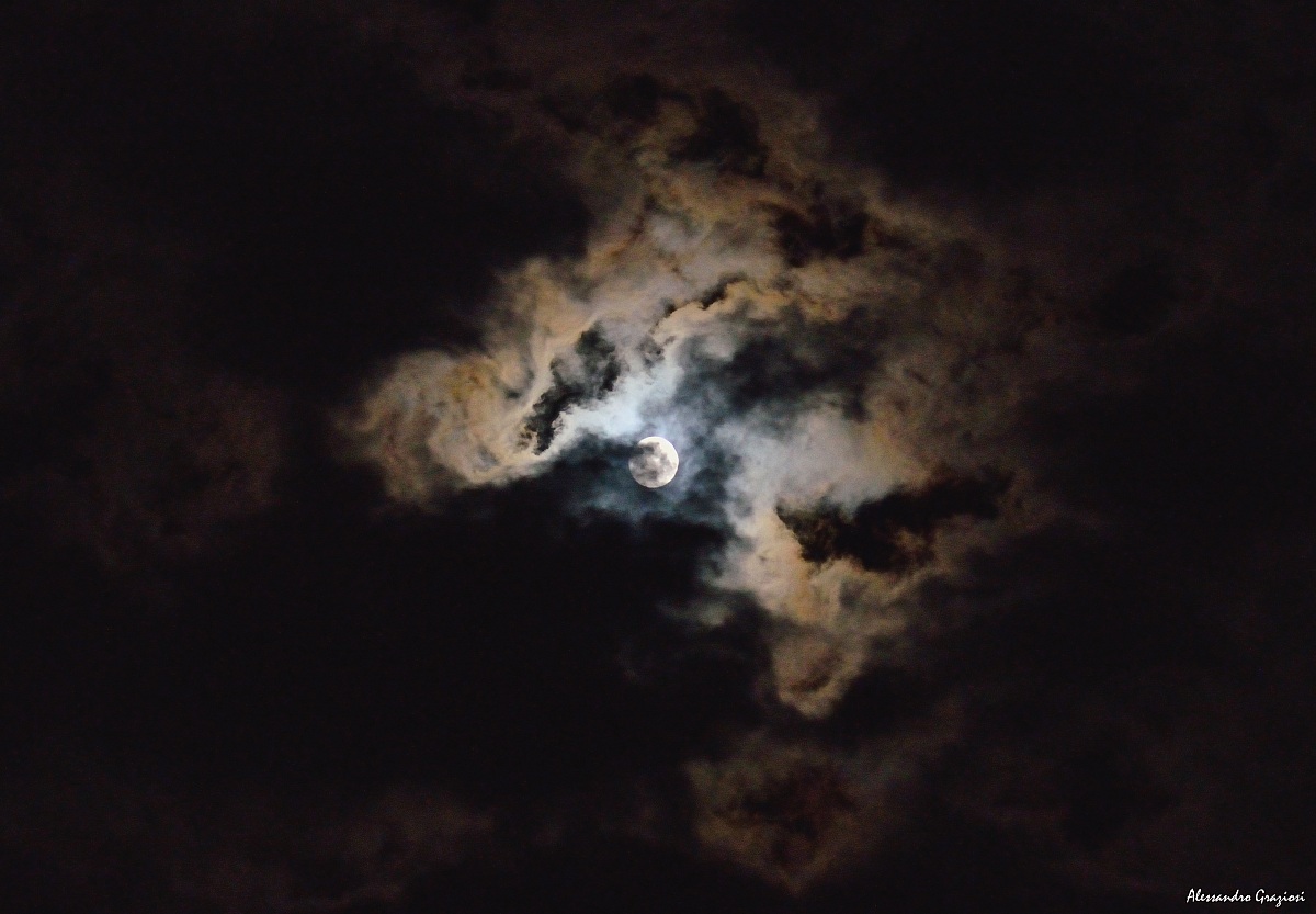 head in the clouds .....