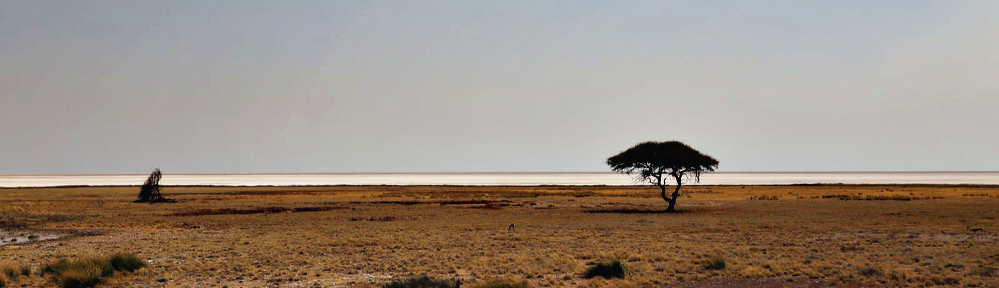 Etosha Pan