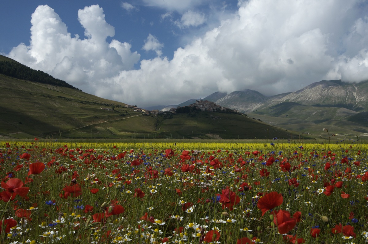 castelluccio di norcia