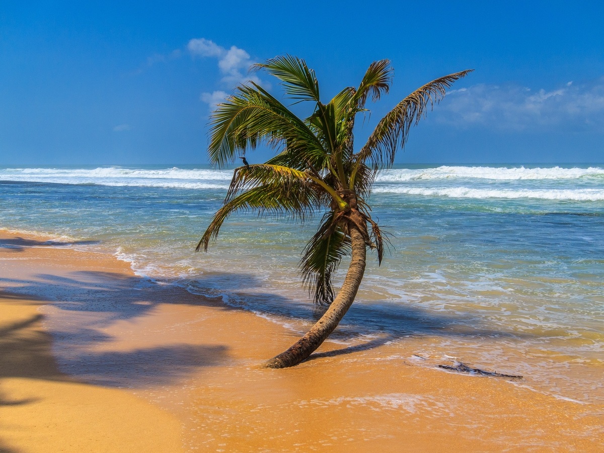 Sri Lanka - Wijaya Beach