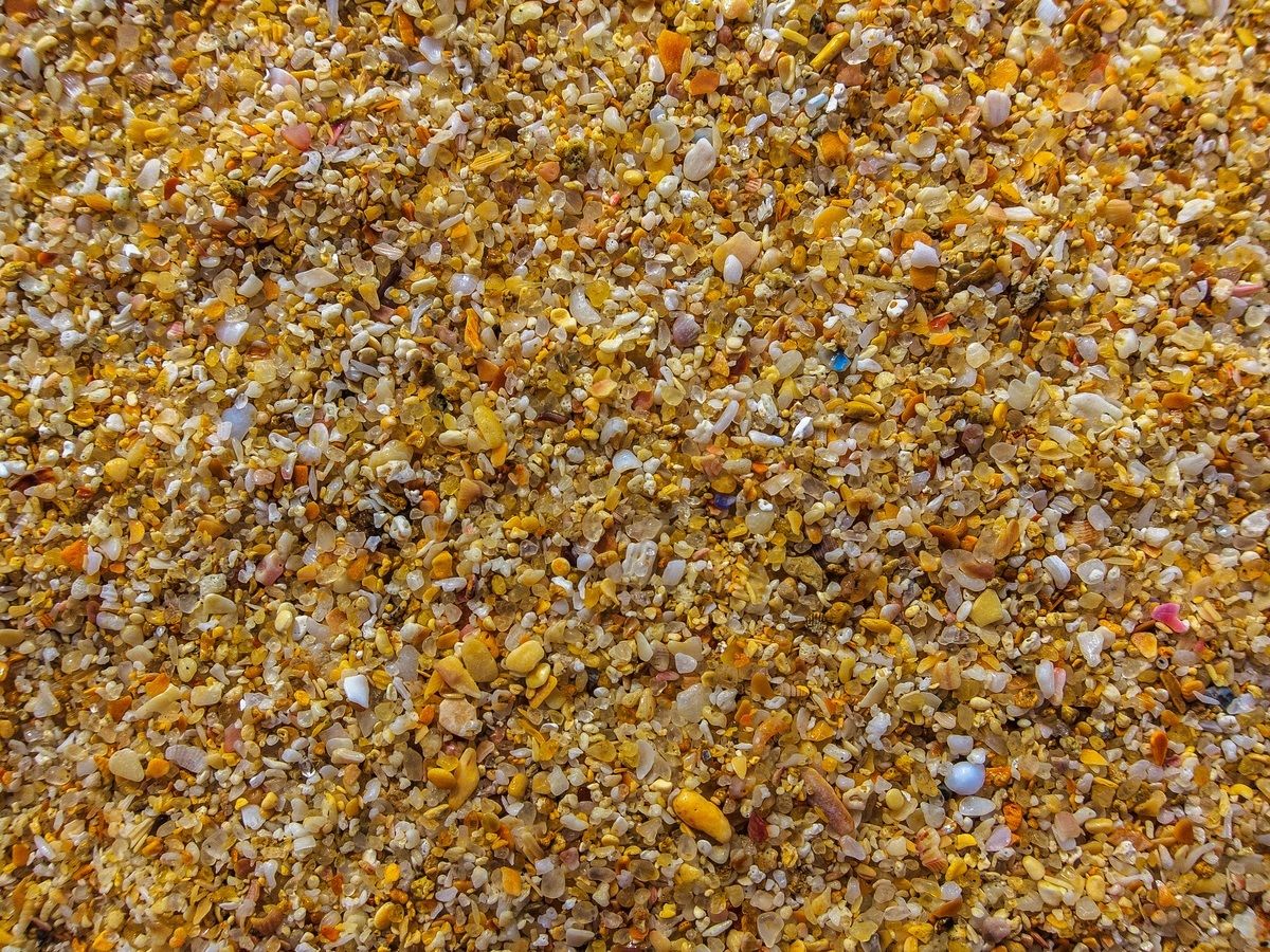 Sri Lanka - Macro Wijaya Sand Beach