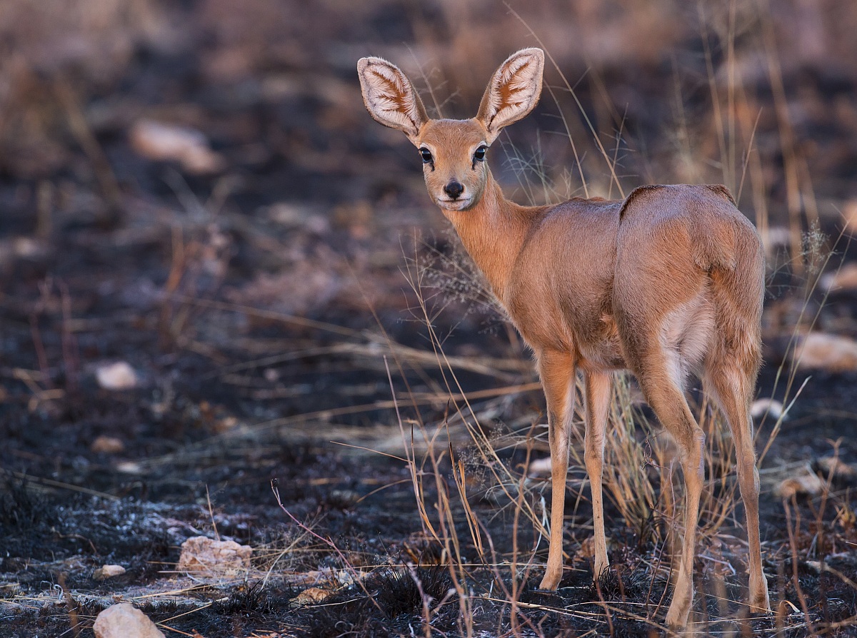I colori del tramonto