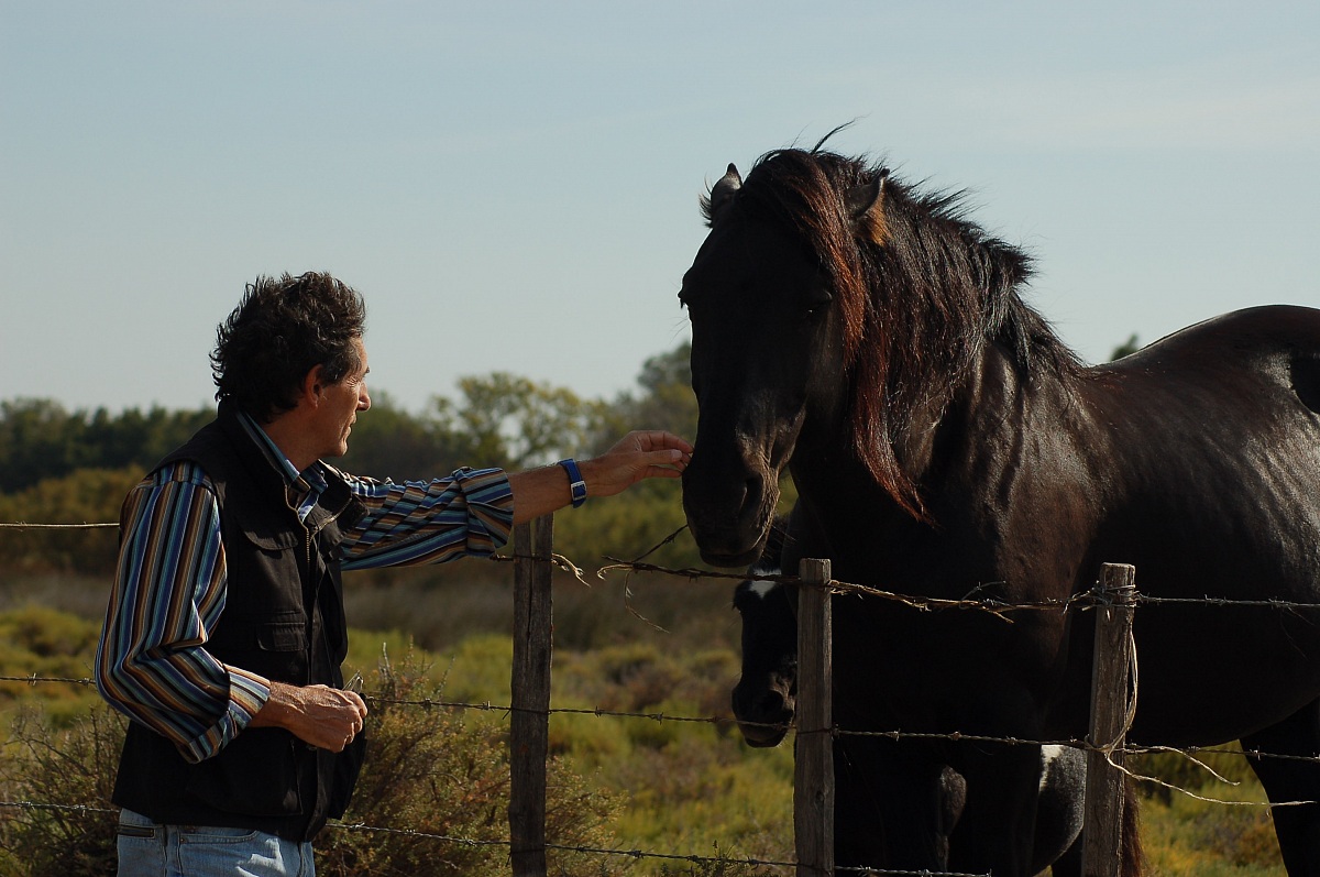 L'uomo che sussurrava ai cavalli
