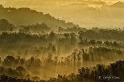 [Fotografia]