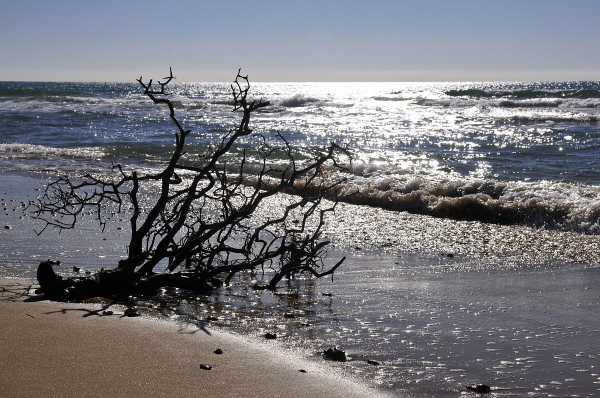 The nature in the sea