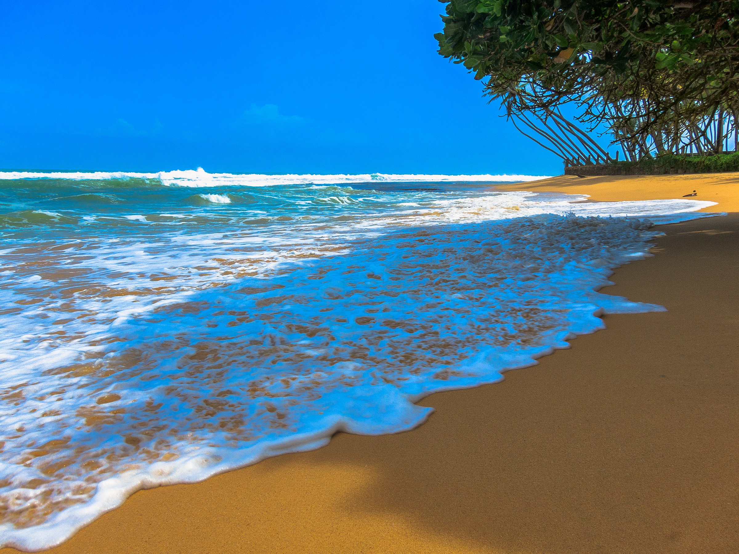 Sri Lanka - Wijaya Beach