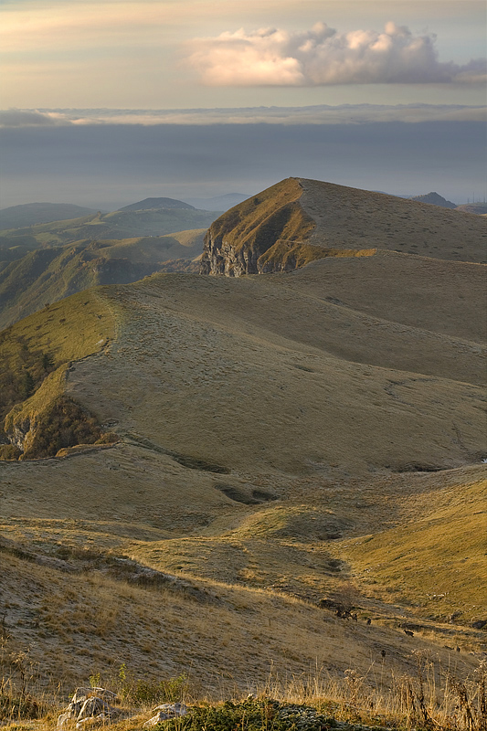 Lessinia, Step Malera dawn with deer grazing.