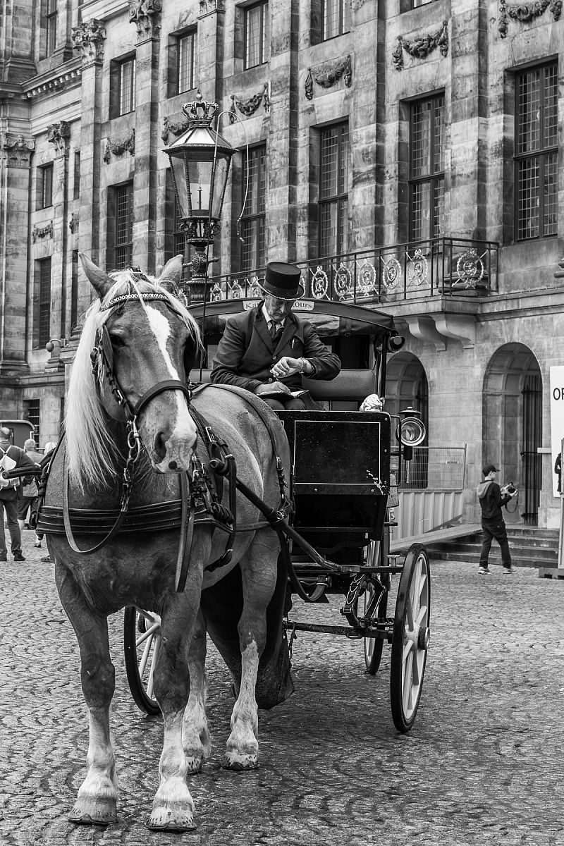 Cenerentola, si è fatto tardi!