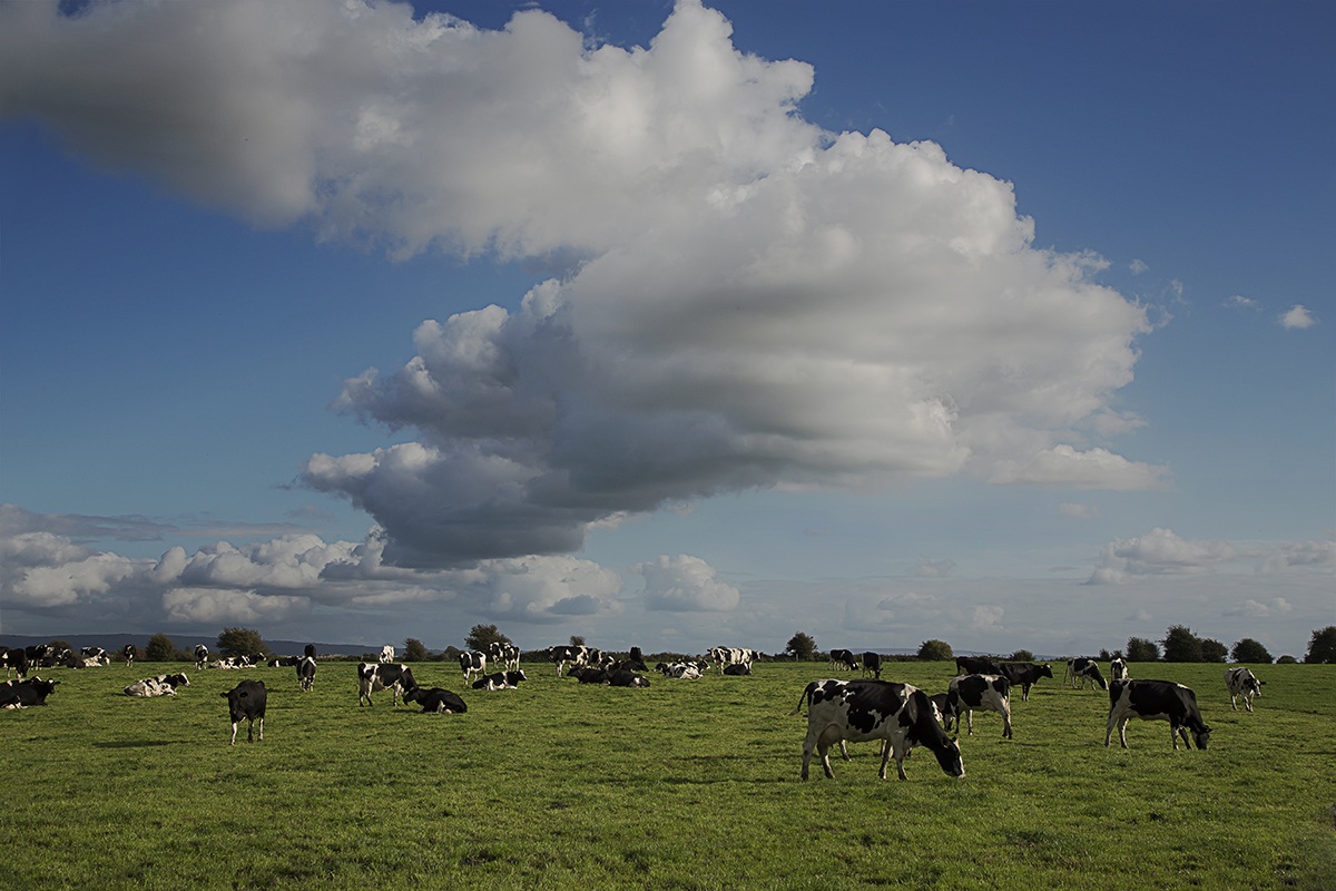 intervallo irlandese