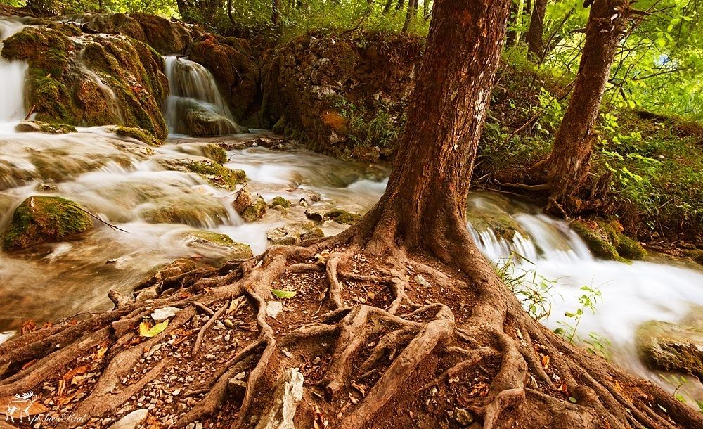 Plitvice National Park