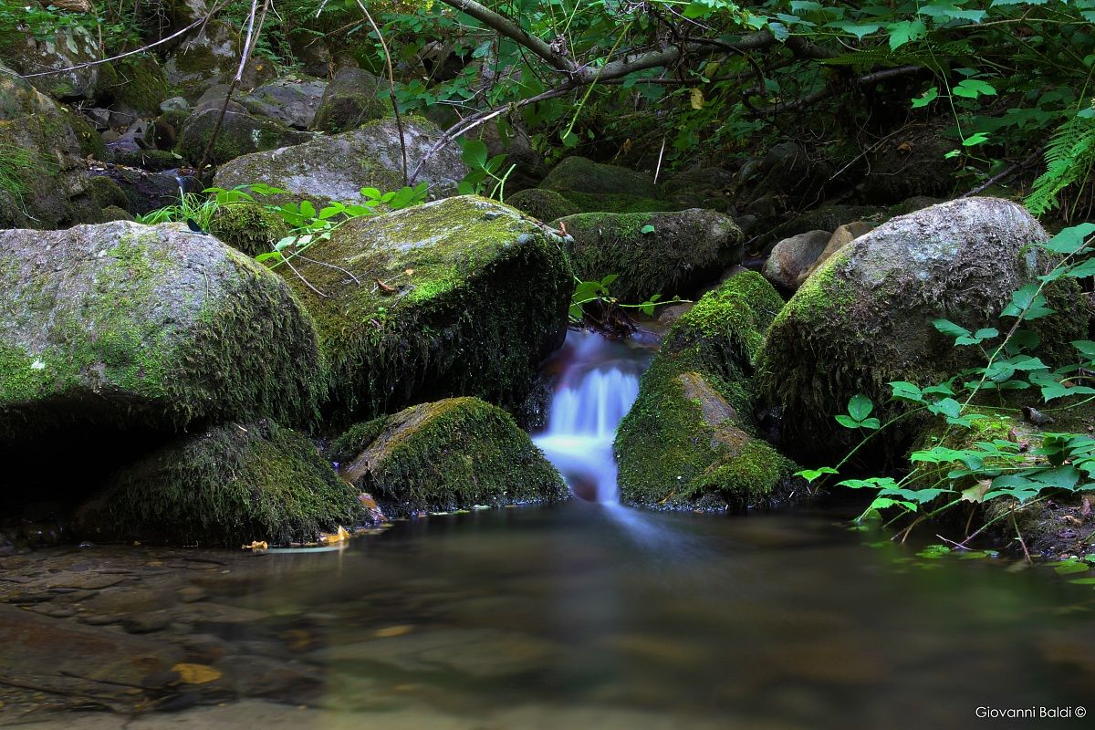 Panta rei, capitolo 3