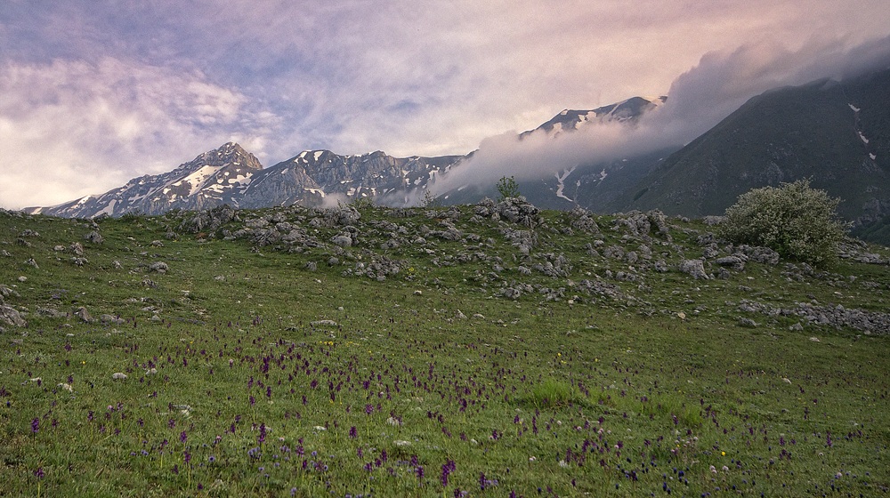 Orchidee e catena occidentale del Gran Sasso