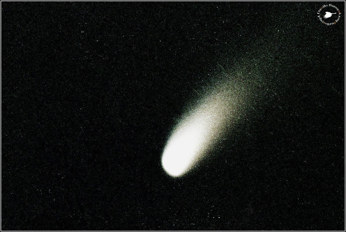 Halley's Comet