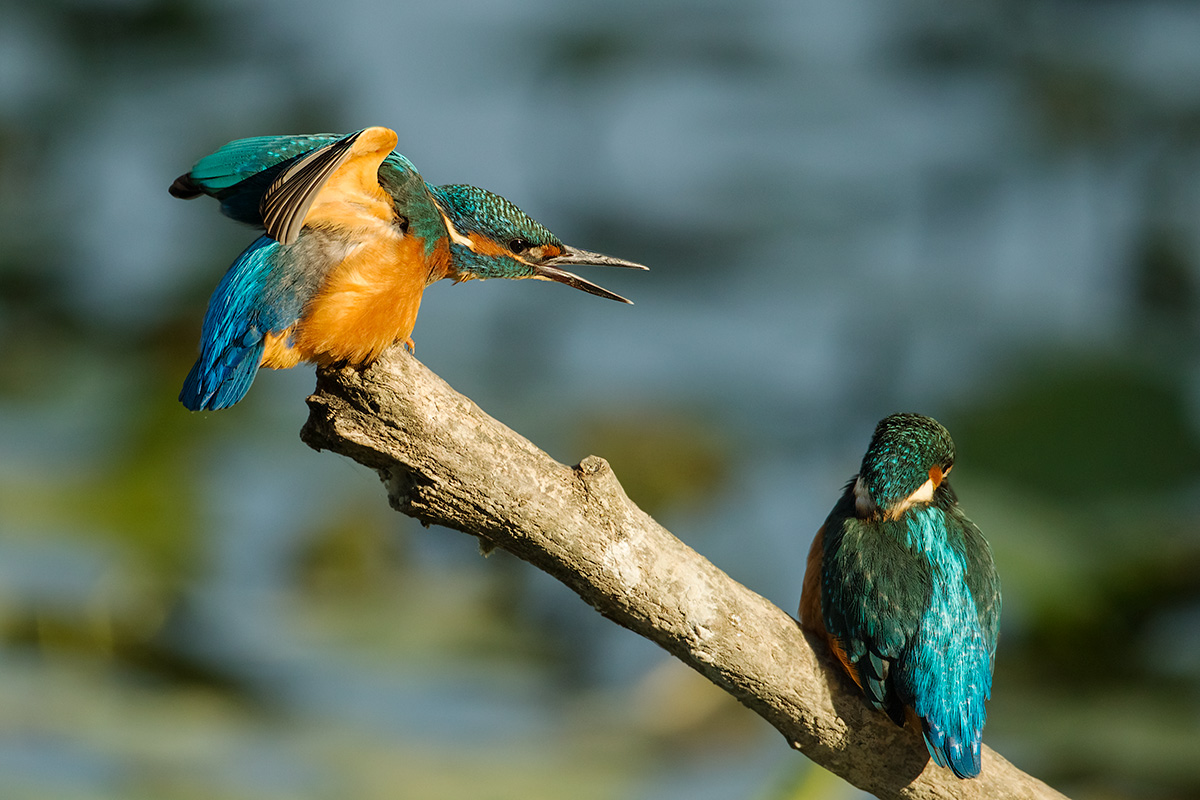 and look at me when I talk to you ....