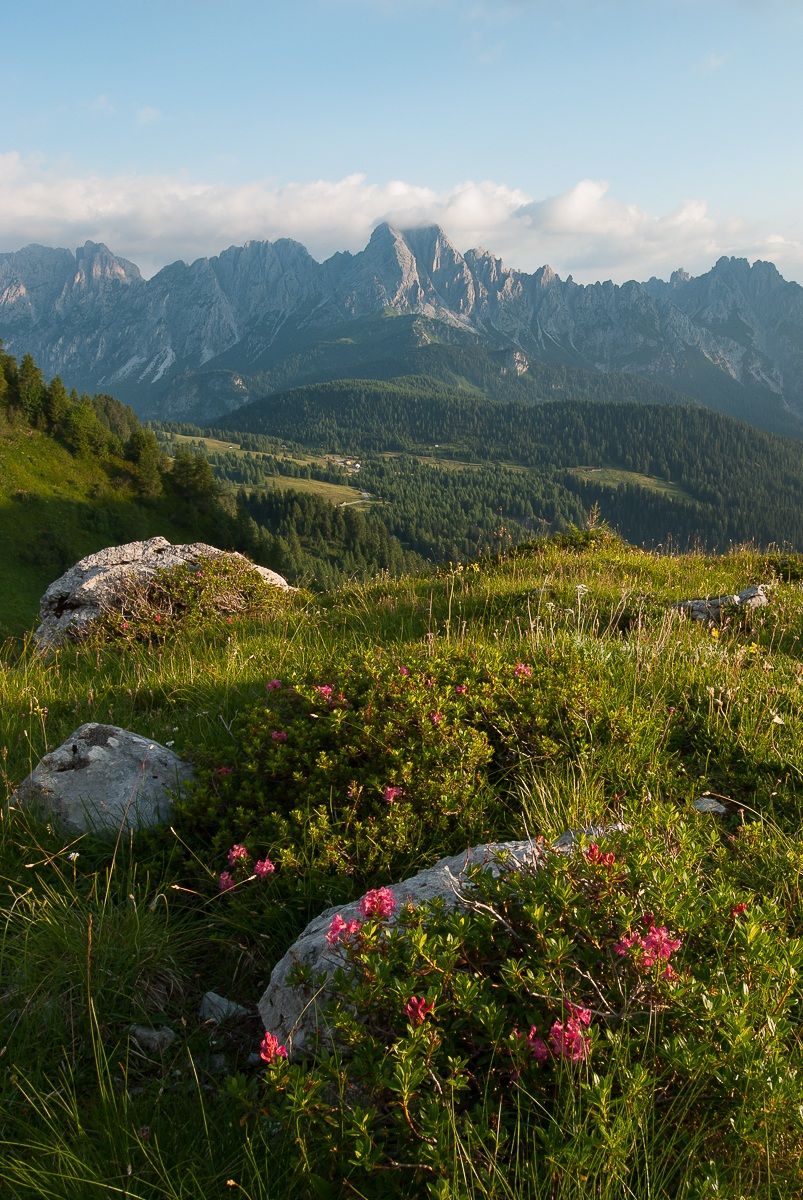 Colori delicati del mattino
