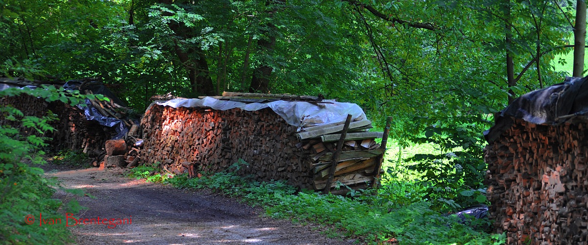 Il tuo calore riscalda il nostro inverno
