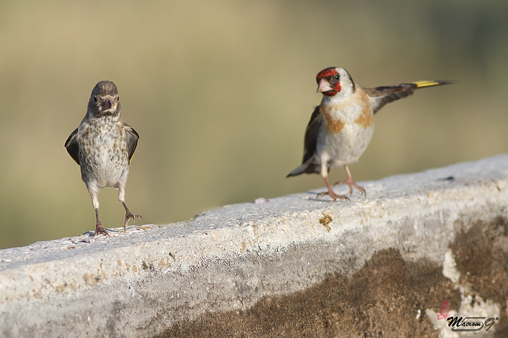 Scatto simpatico che condivido per fare 2 risate!