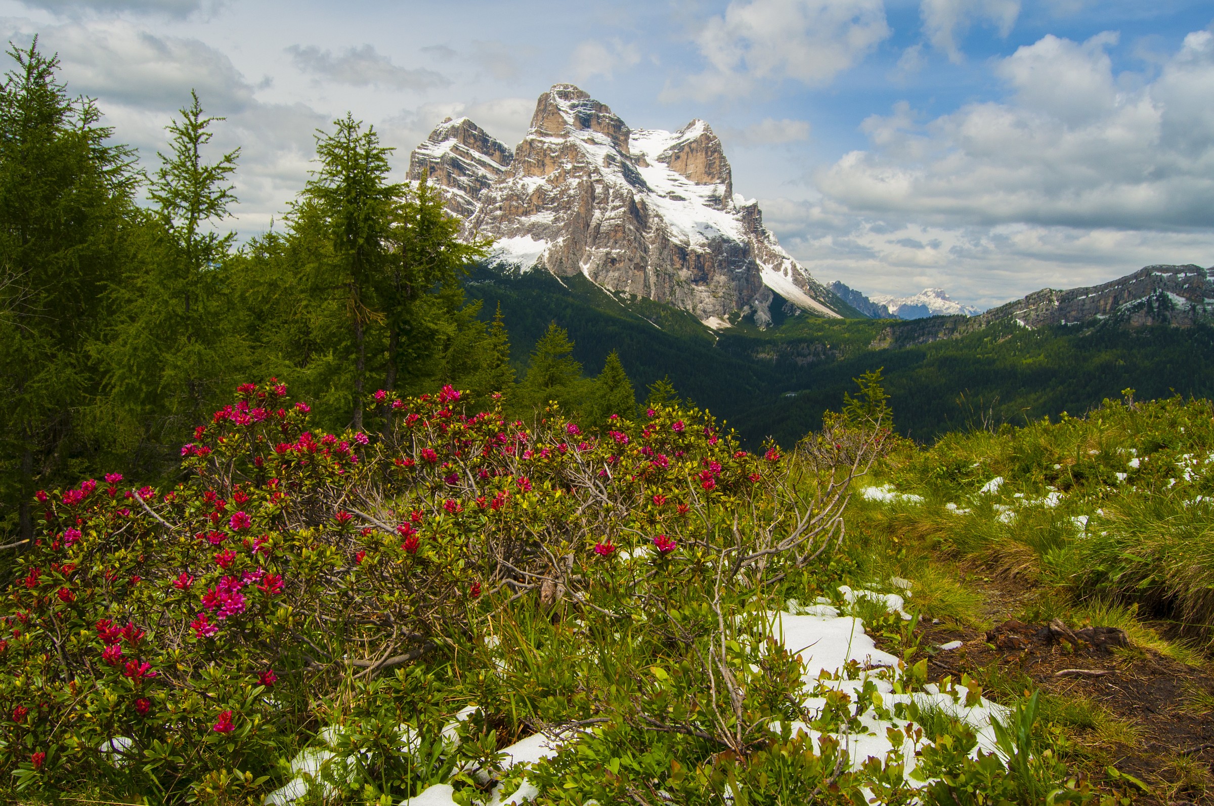 ma in che stagione siamo?