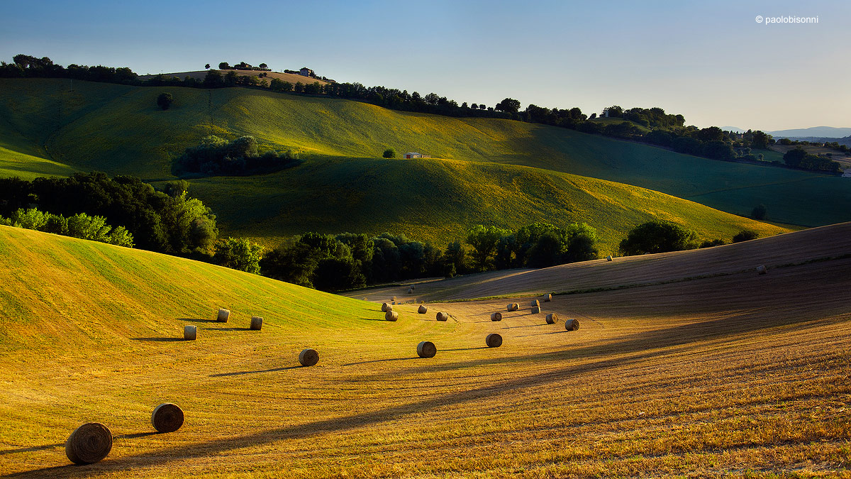 ...and you do not play?