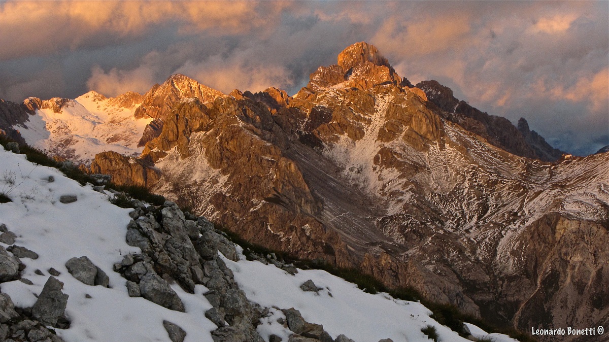 Warm and cool tones on pace saddles