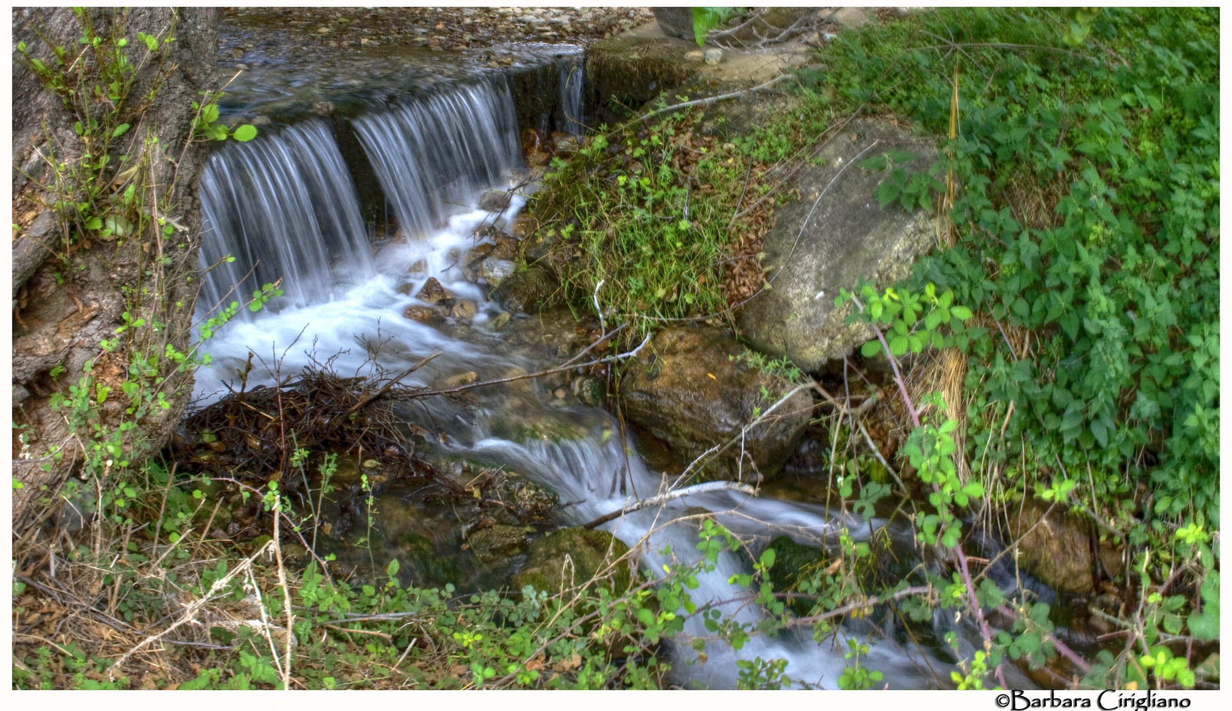 Simply Water. . . . the greatest gift of mother